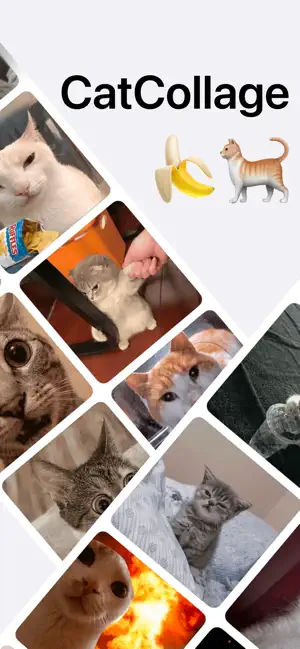 CatCollage screenshot 1