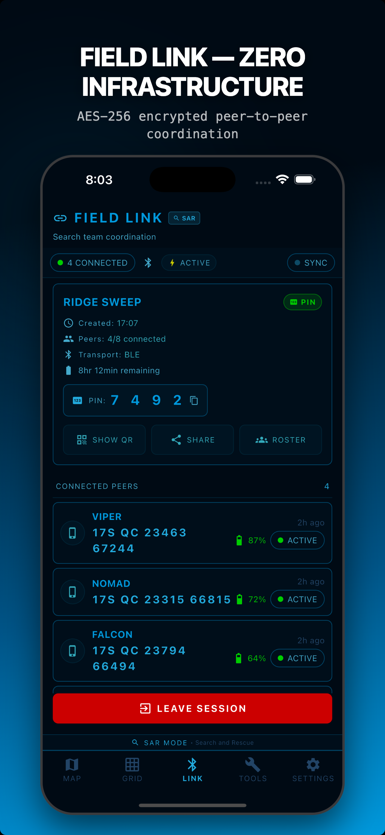 Red Grid Link screenshot 3