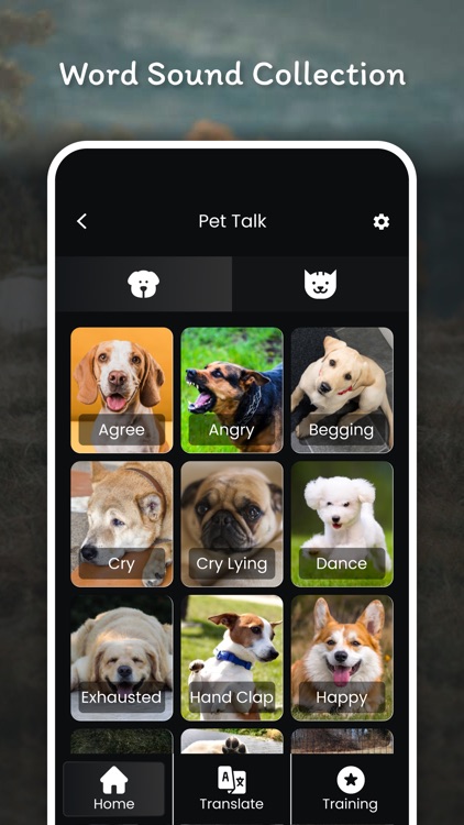 Pet Talk Voice Translator