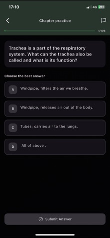 Tinat.AI Screenshot 3 of 9