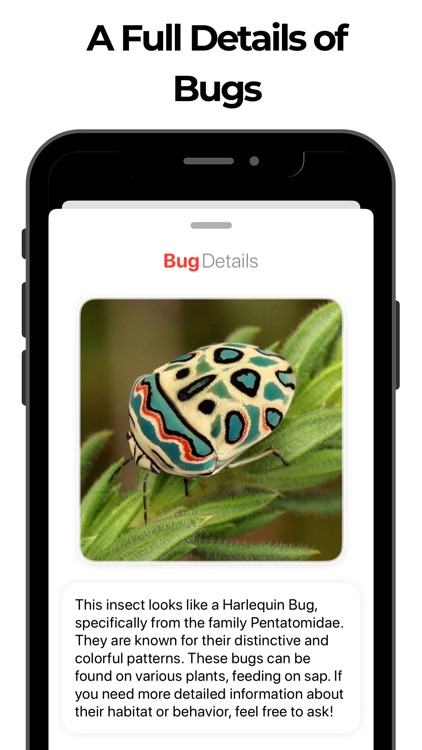 Bug Identifier & Insect Id