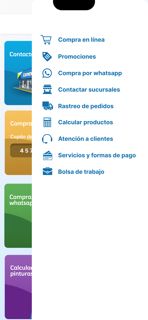 Rullán Comex screenshot 3