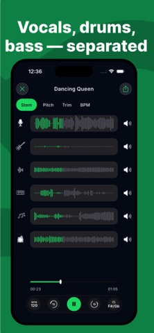 Vocal Remover - SplitStem Screenshot 2 of 4