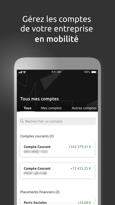ePalatine Entreprises Screenshot