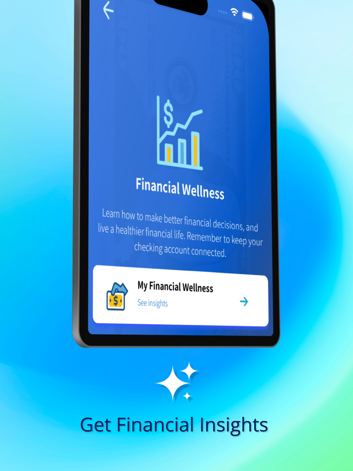 VANSi - Cash Advance