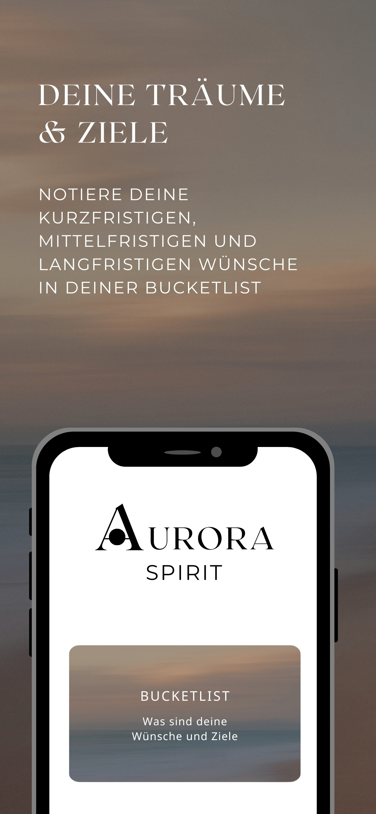 Aurora Spirit screenshot 4