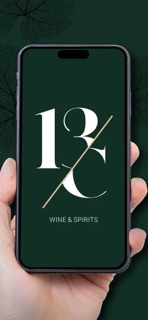 13C screenshot 1