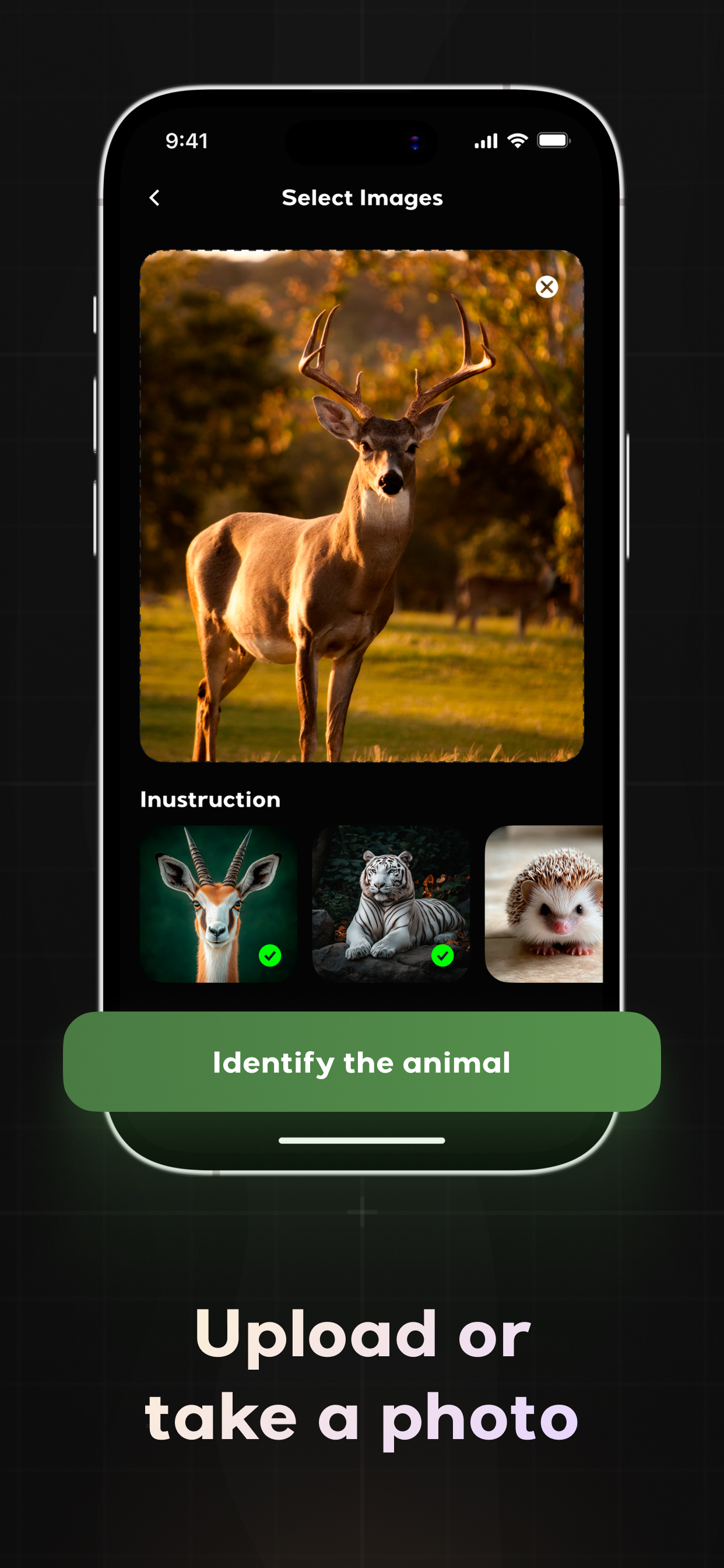 Animal Identifier - ID Scanner