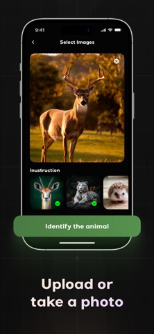 Animal Identifier - ID Scanner Screenshot 4 of 4