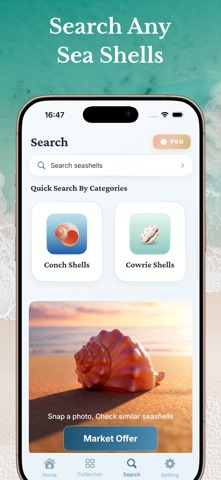 Sea Shell Identifier Collector Screenshot 5 of 7