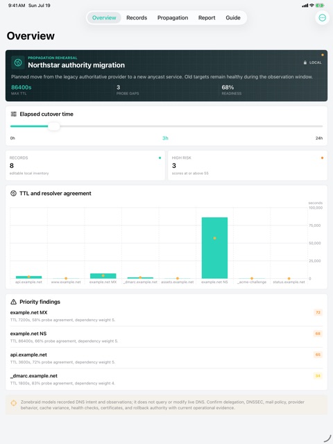 Zonebraid: DNS Change screenshot 2