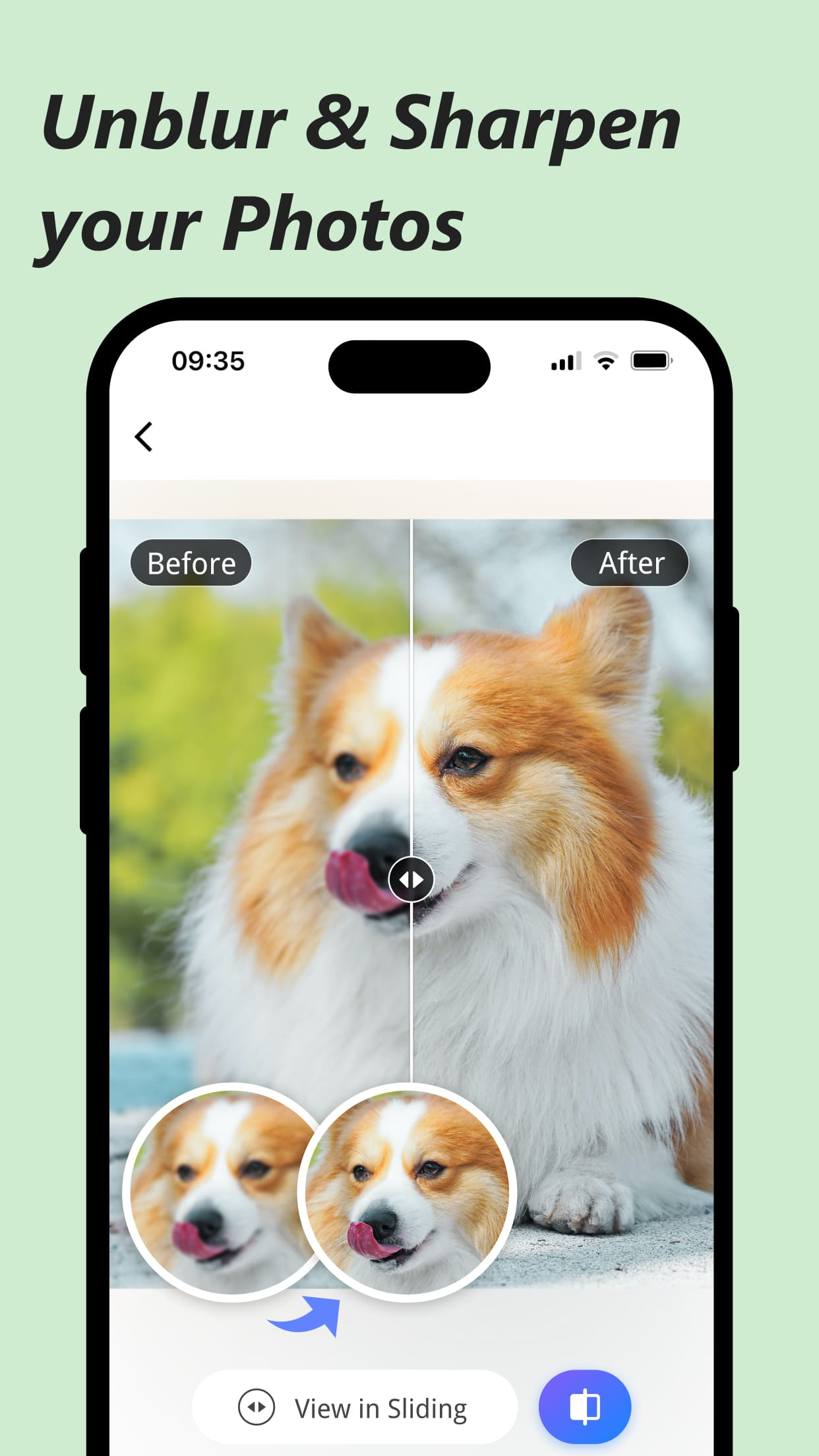 Picwand AI Photo Editor