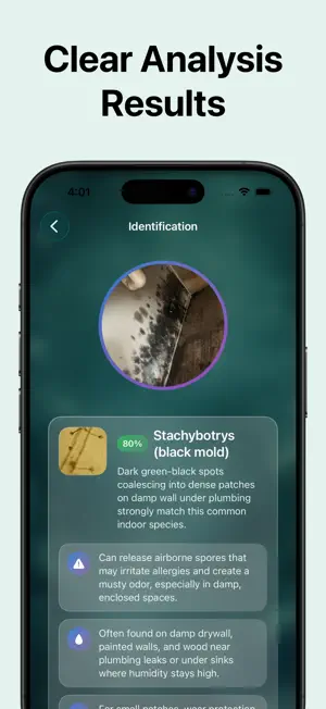Identifier: Mold screenshot 3