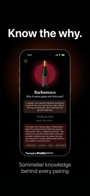 Pour Decisions - Wine Pairing screenshot 4
