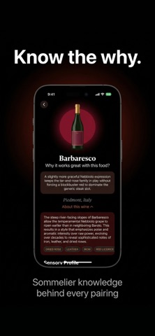 Pour Decisions - Wine Pairing screenshot