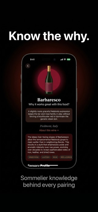 Pour Decisions - Wine Pairing Screenshot 4 of 6