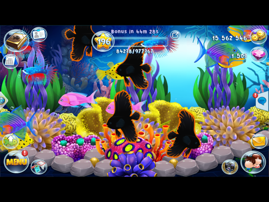 Fish Paradise - Aquarium Live iPad app afbeelding 4