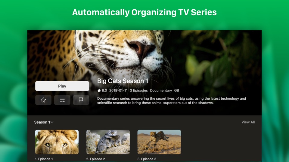 Screenshot #12 for VidHub -Video Library & Player