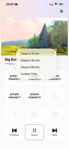 NanoPlayer Screenshot 2 of 4
