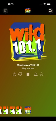 Wild 101.1 screenshot