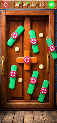 Unscrew Door Nut Sorting Game iPhone screenshot