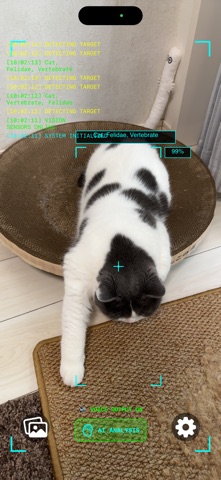 PhotoAnalyze AI Vision System app screenshot