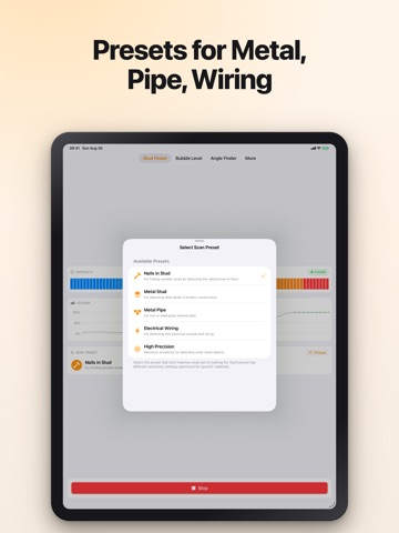Stud Finder Wall Detector Tool iPad screenshot