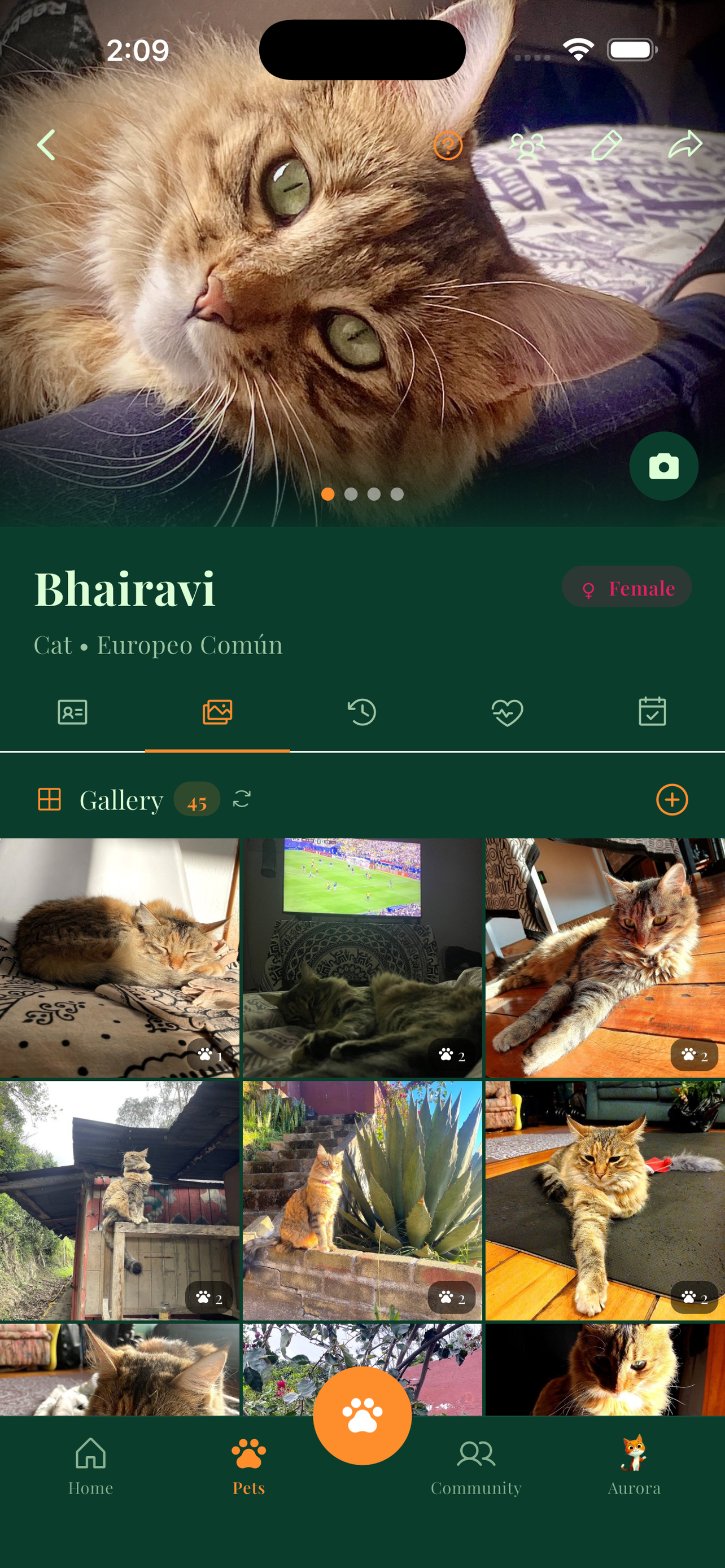 Aurora Pet - Pet Care screenshot 5