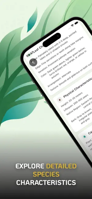 #4. Tree Identifier : Leaf Finder (iOS) Podle: BASAK GEDIK