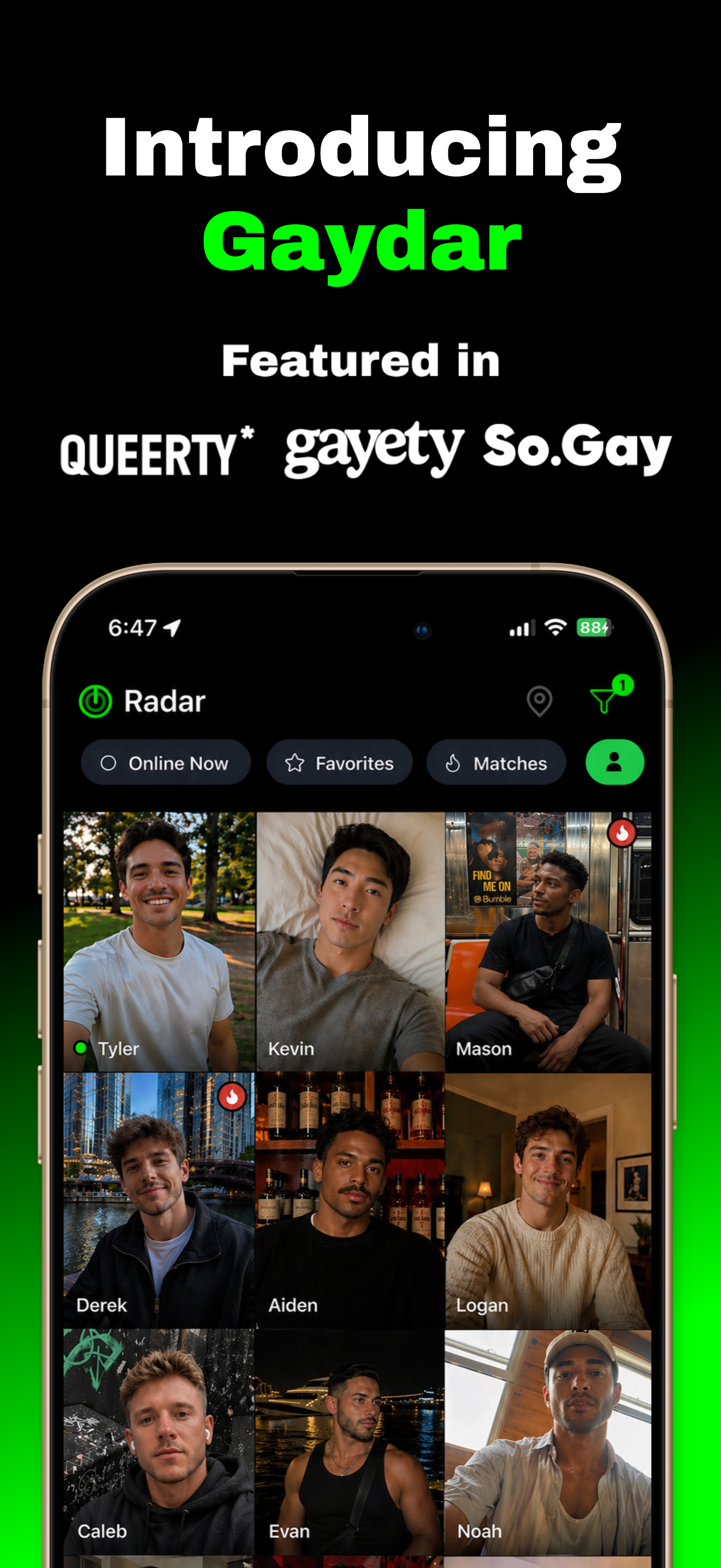 Gaydar