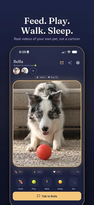 Aurae Pets screenshot 3