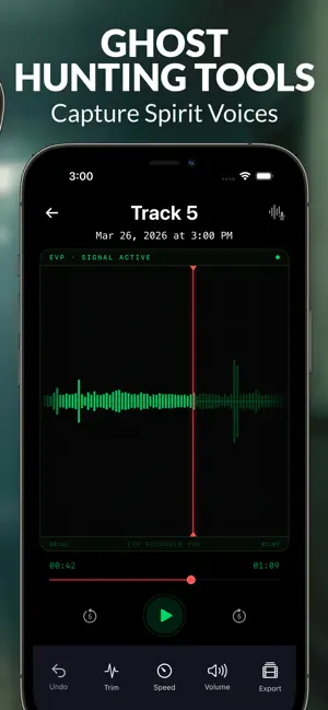 EVP Recorder: Ghost Spirit Box screenshot 3