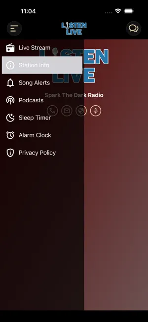 Spark The Dark Radio screenshot 4