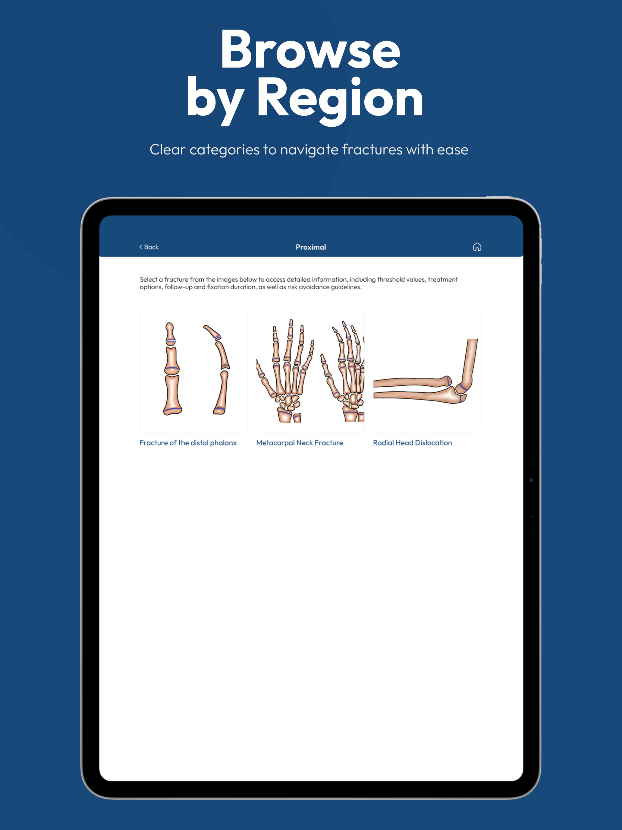 FractoPedia screenshot 7