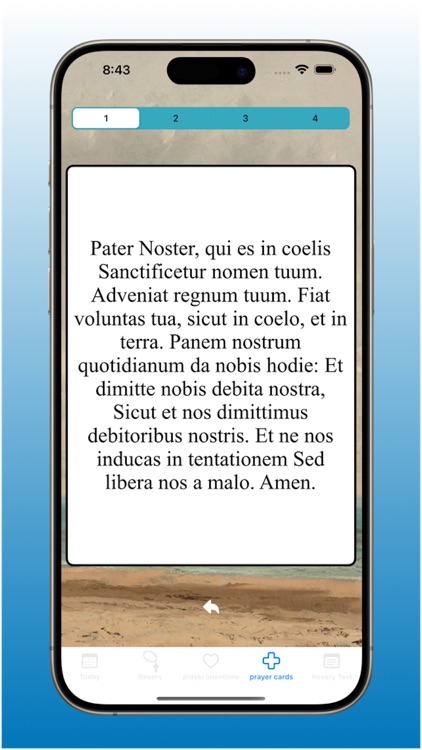 Daily Rosary* screenshot-9