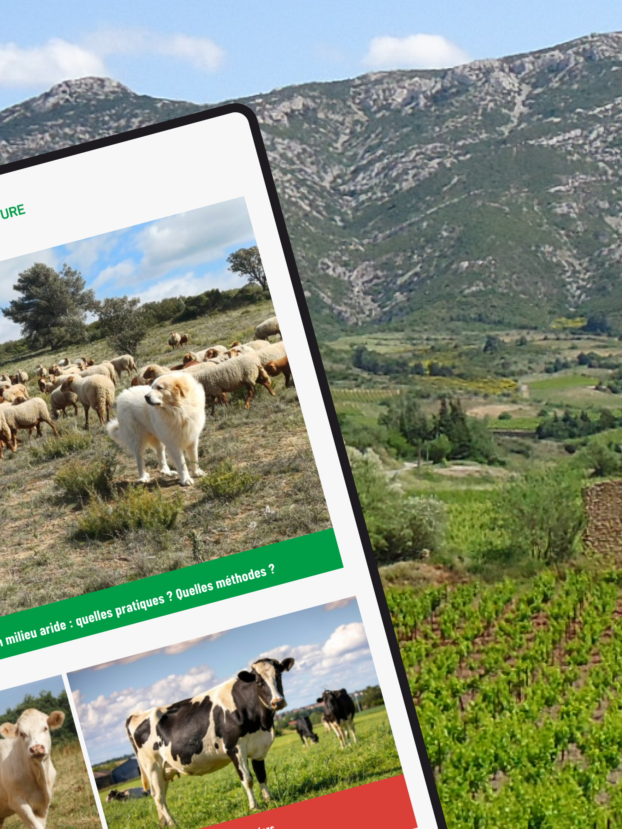 Chambre Agriculture Aude