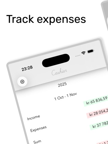 Cashier - minimal budget app iPad screenshot