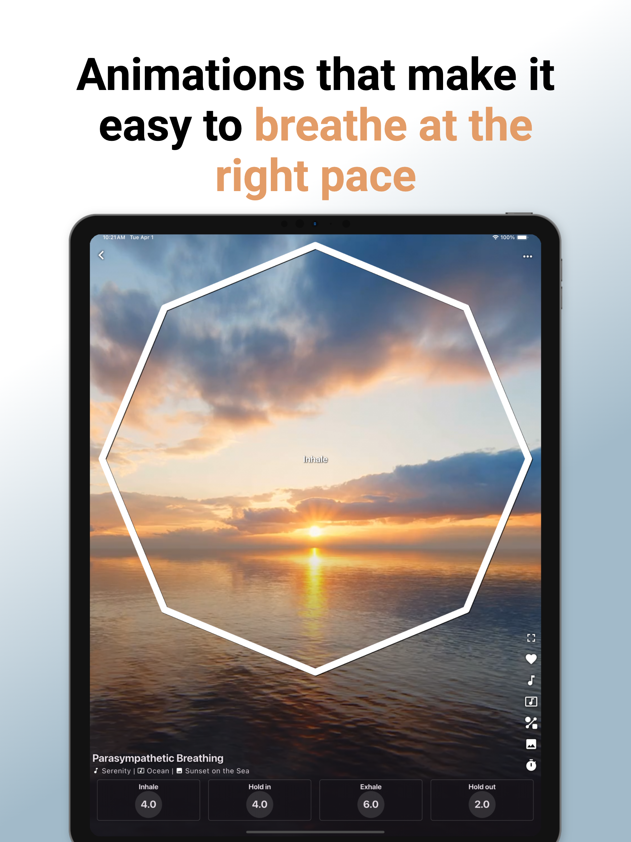 Pocket Breath Coach