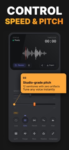 Reverse Audio: Voice Effects Screenshot 4 of 5