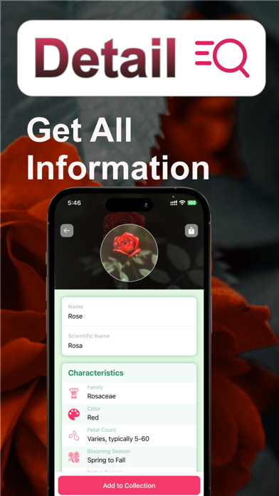FlowerAI: Identify Flowers Screenshot