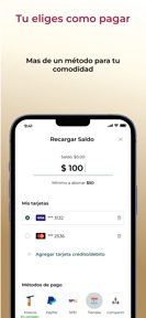 Estacionamiento Digital screenshot