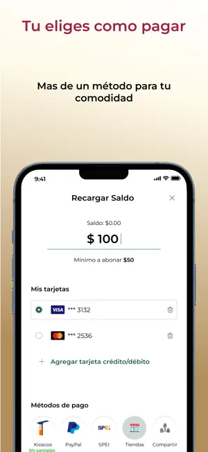 Estacionamiento Digital screenshot 3