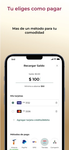 Estacionamiento Digital iPhone screenshot 3