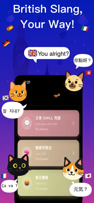 British Slang - Fulu screenshot 1