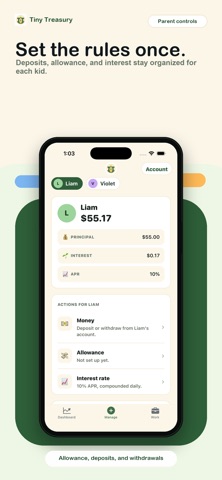 Tiny Treasury screenshot