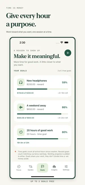 Time is Money: Focus & Grow screenshot 4