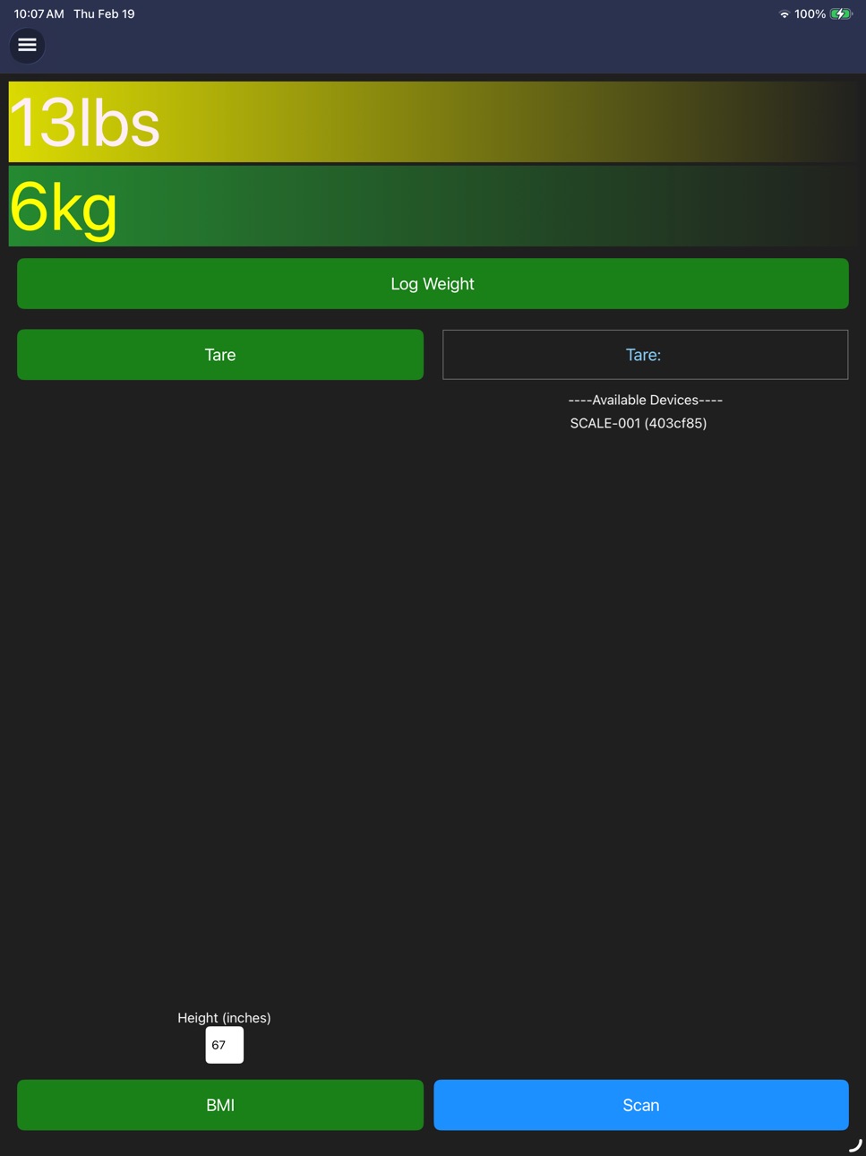 iPad screenshot