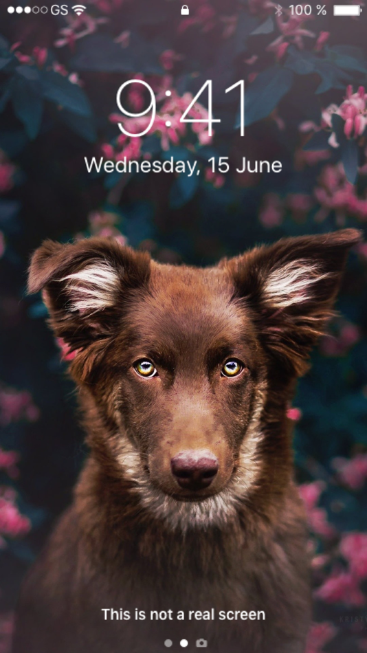 #10. Wallpaper App for iPhone (iOS) 由: LIVE WALLPAPERS LLC