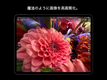Pixelmator Pro: 画像の編集 のスクリーンショット