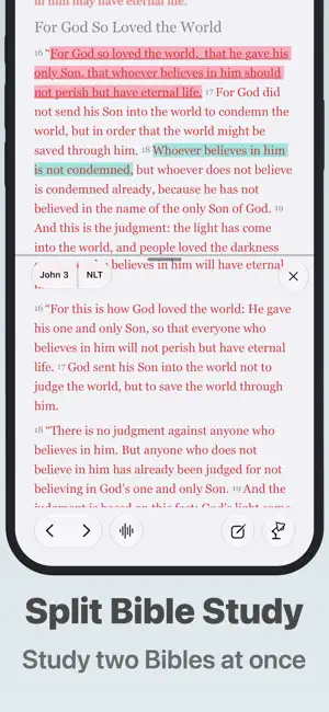 Bible - Companion screenshot 3